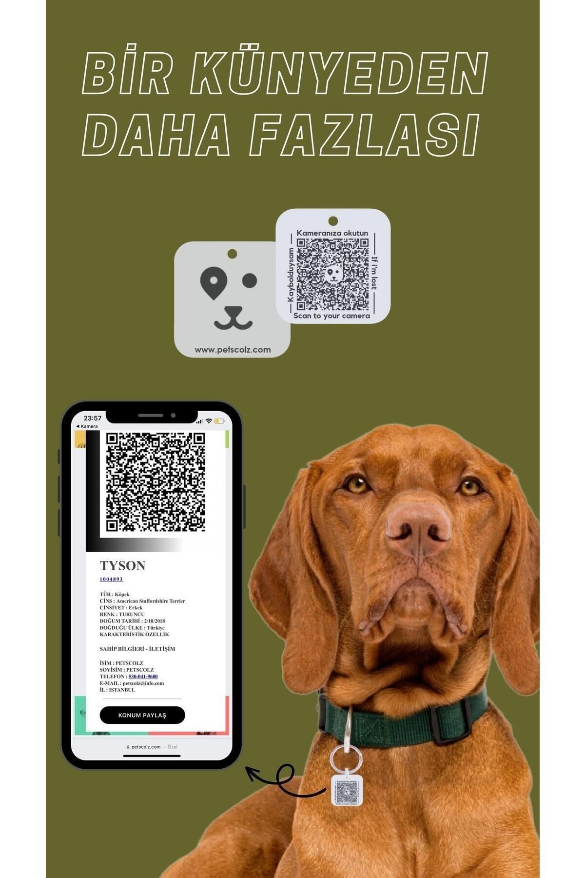 PETLOO-Petscolz Qr Tag - Qr Code Imprint with Location Notification 5