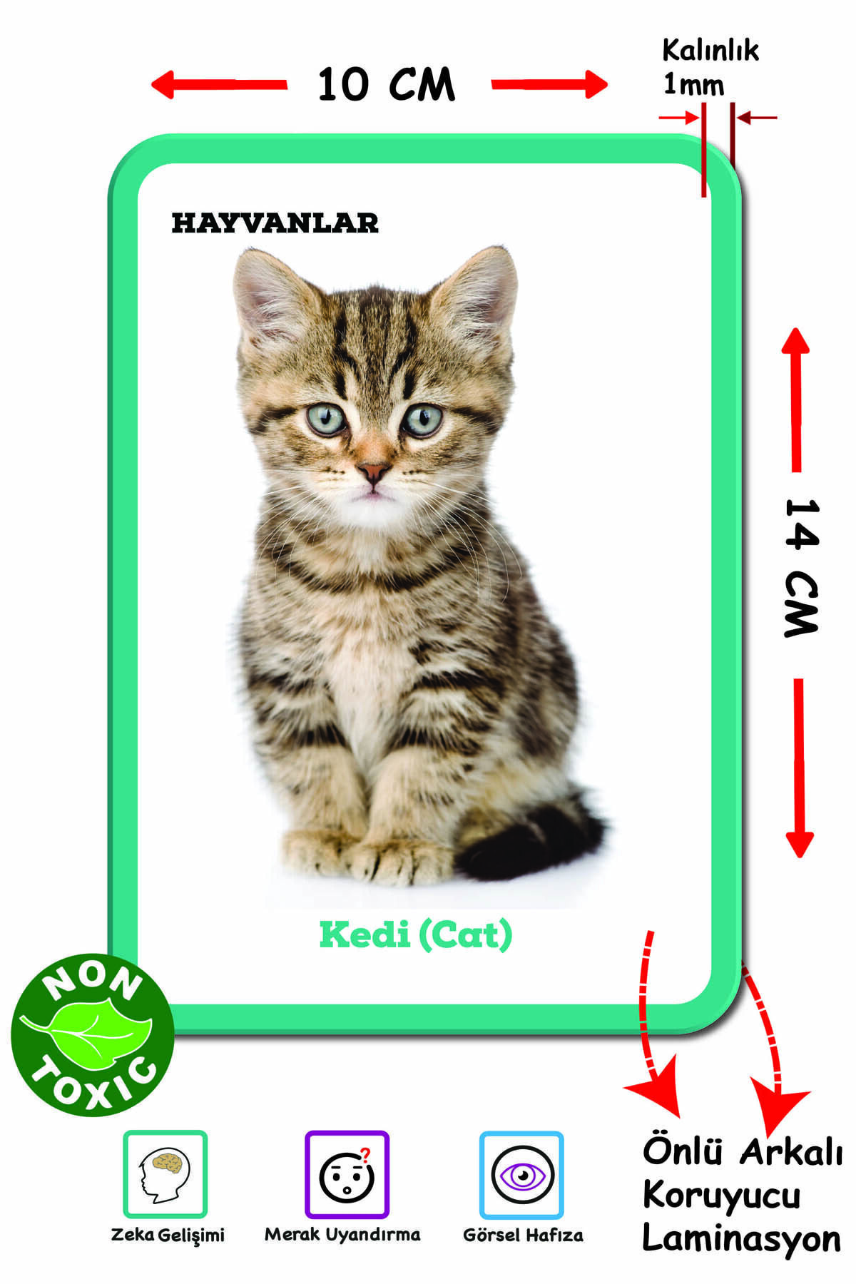 Diytoy Bebeğimin Ilk Zeka Kartları, Ilk 100 Sözcük 2'li Eğitim Seti fotoğrafı 2 (önizleme)