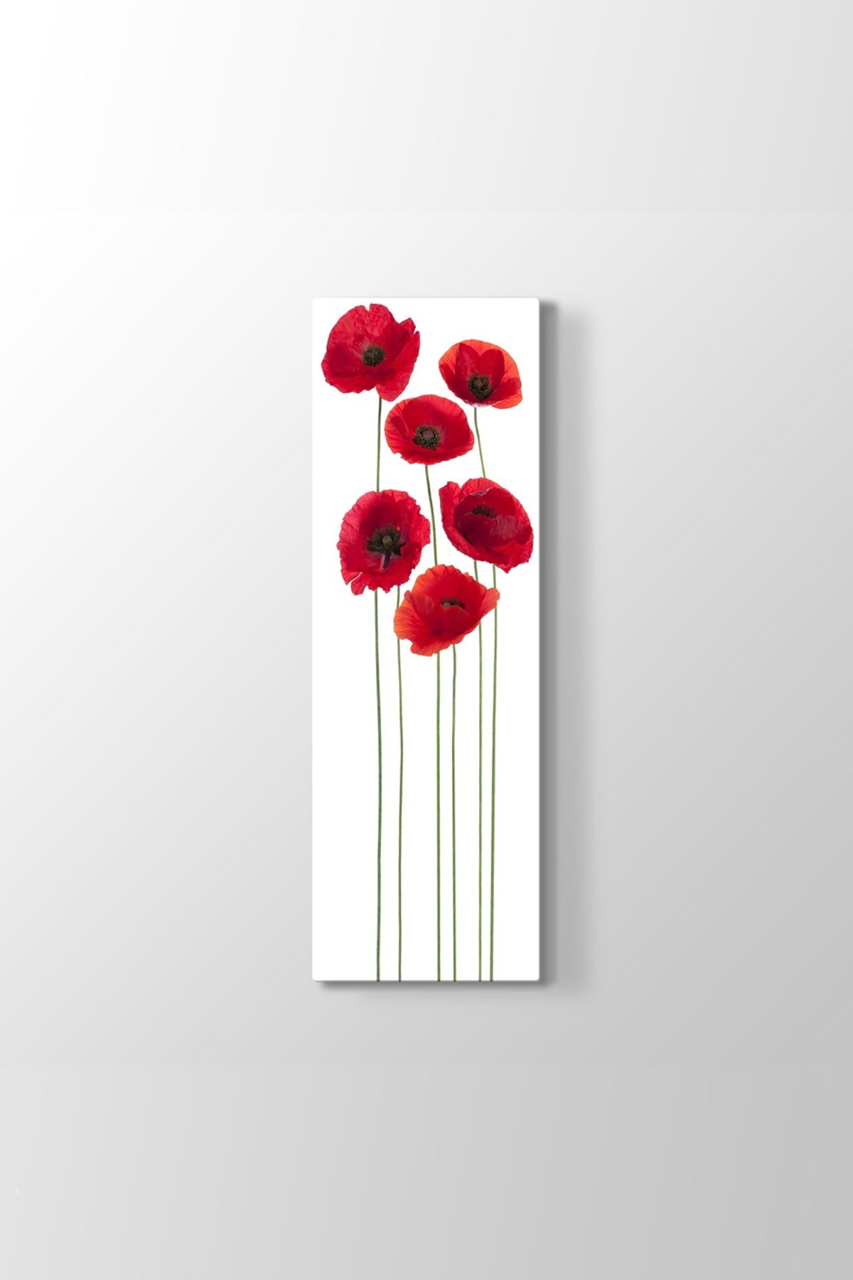 tabloshop vektorel gelincikler tablosu