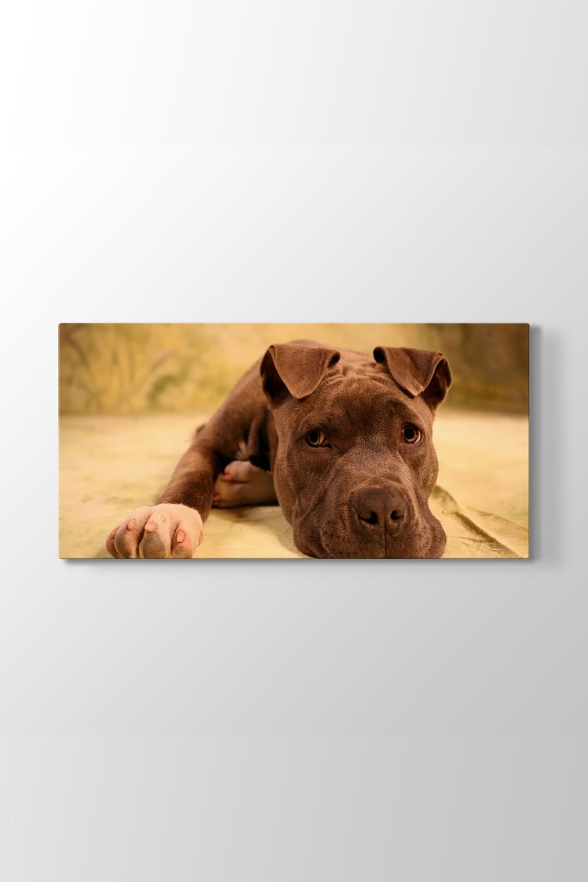 yavru pitbull tablosu model 5 olcusu 60x30 cm