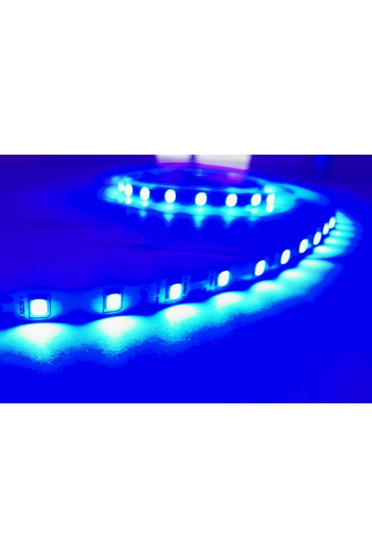 Şerit-led-mavi-ışık-(5metre)-iç-mekan
