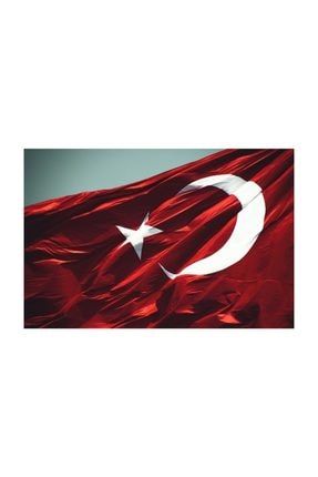 Türk Bayrağı Alpaka Kumaş 120x180cm