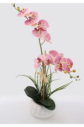 Beton Kabak Saksıda 2li Islak Orkide Tanzimi Fuşya Benekli YPCCK-BTN-169