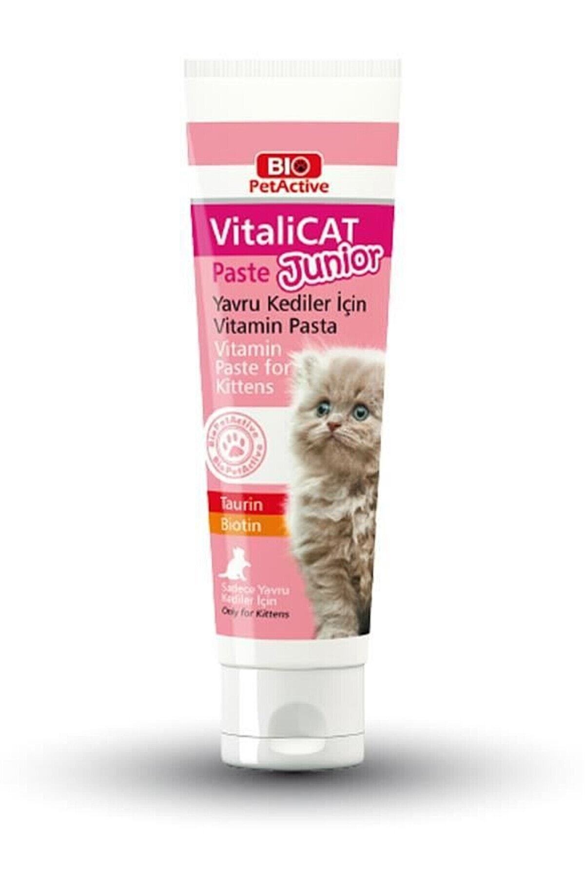 bio petactive vitalicat paste junior kedi vitamini 100 ml fiyati yorumlari trendyol