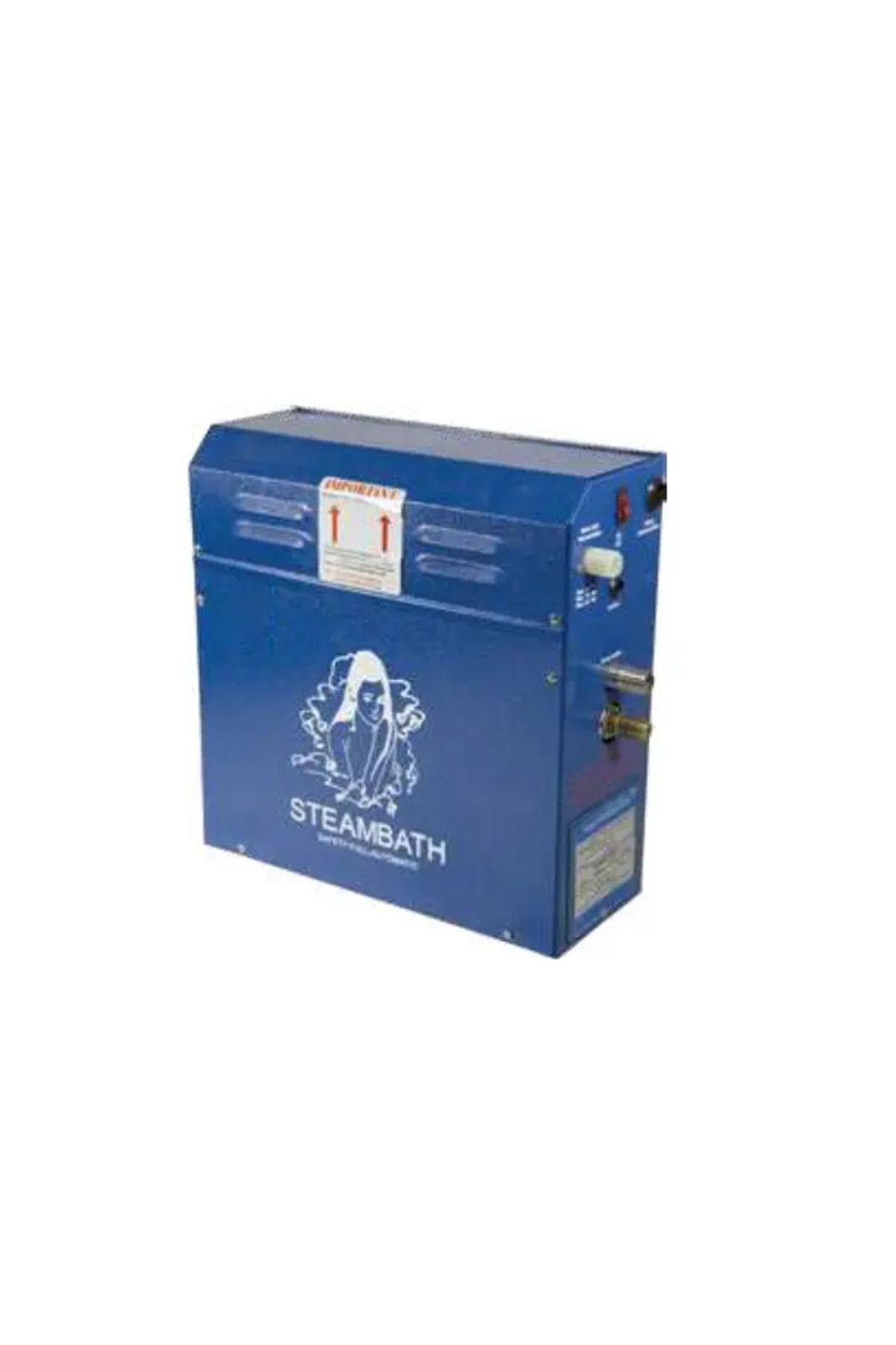 Fintech FTSG Model BUHAR Jeneratörü 4,7 kW - 2,5 m3-Steam Generations FTSG Model-ToptancıyızBiz