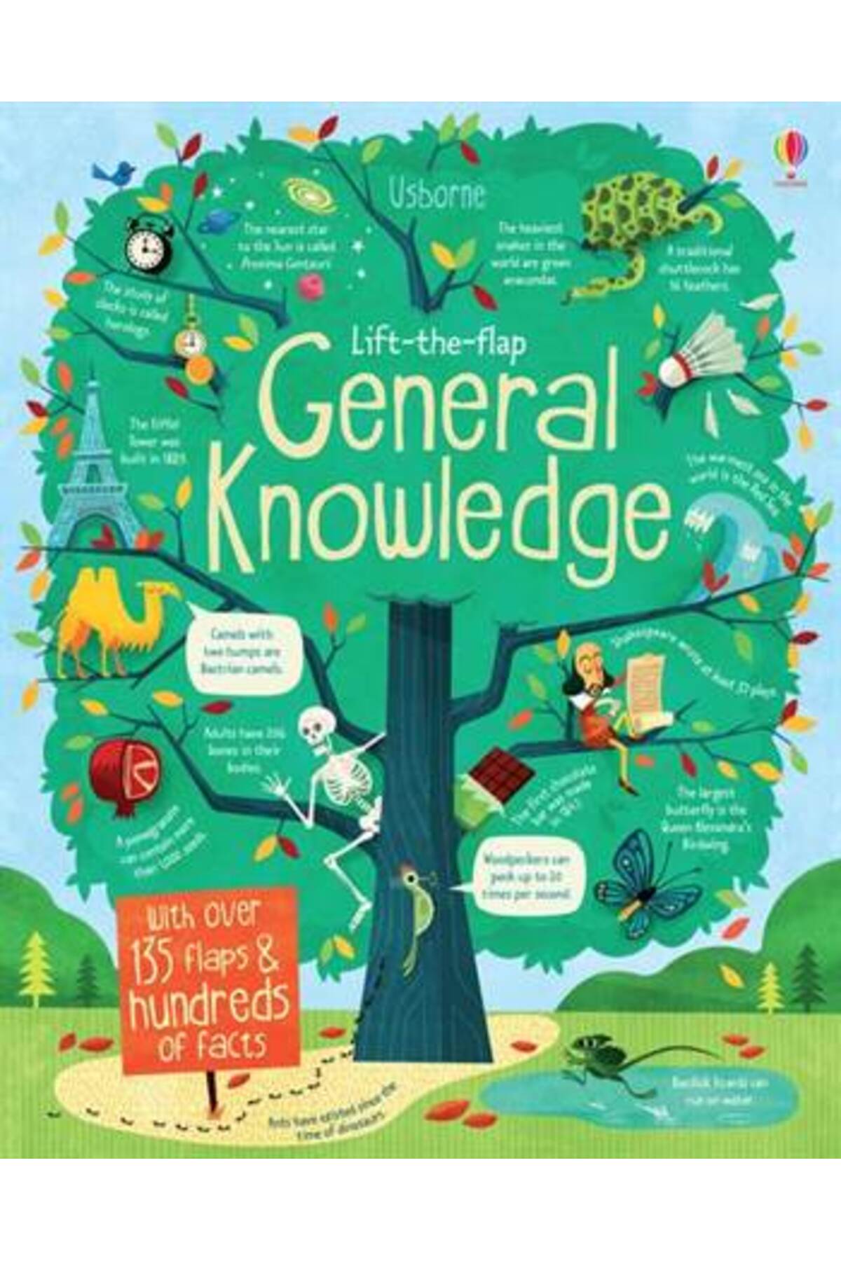 Usborne Lift the Flap General Knowledge