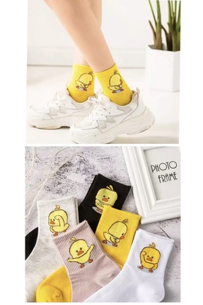 REYNBOO SOCKS 5 Çift Unisex Renkli Çeşitli Desenli Yıkamalı Civciv Kolej Teni...