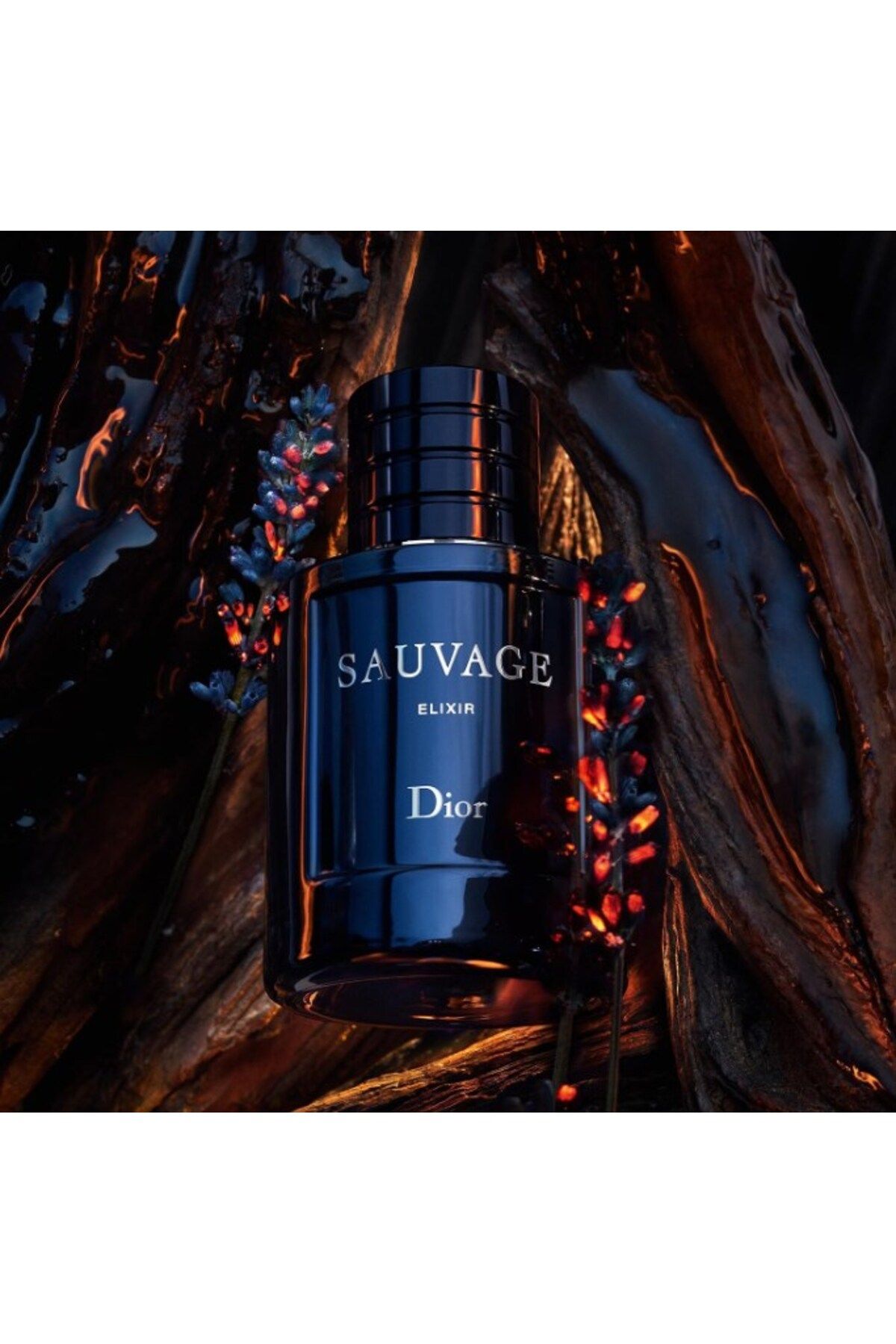 Dior عطر ایکسیر ساواژ کشف شده زمین بی‌صحبت ۱۰۰ میلی‌لیتر