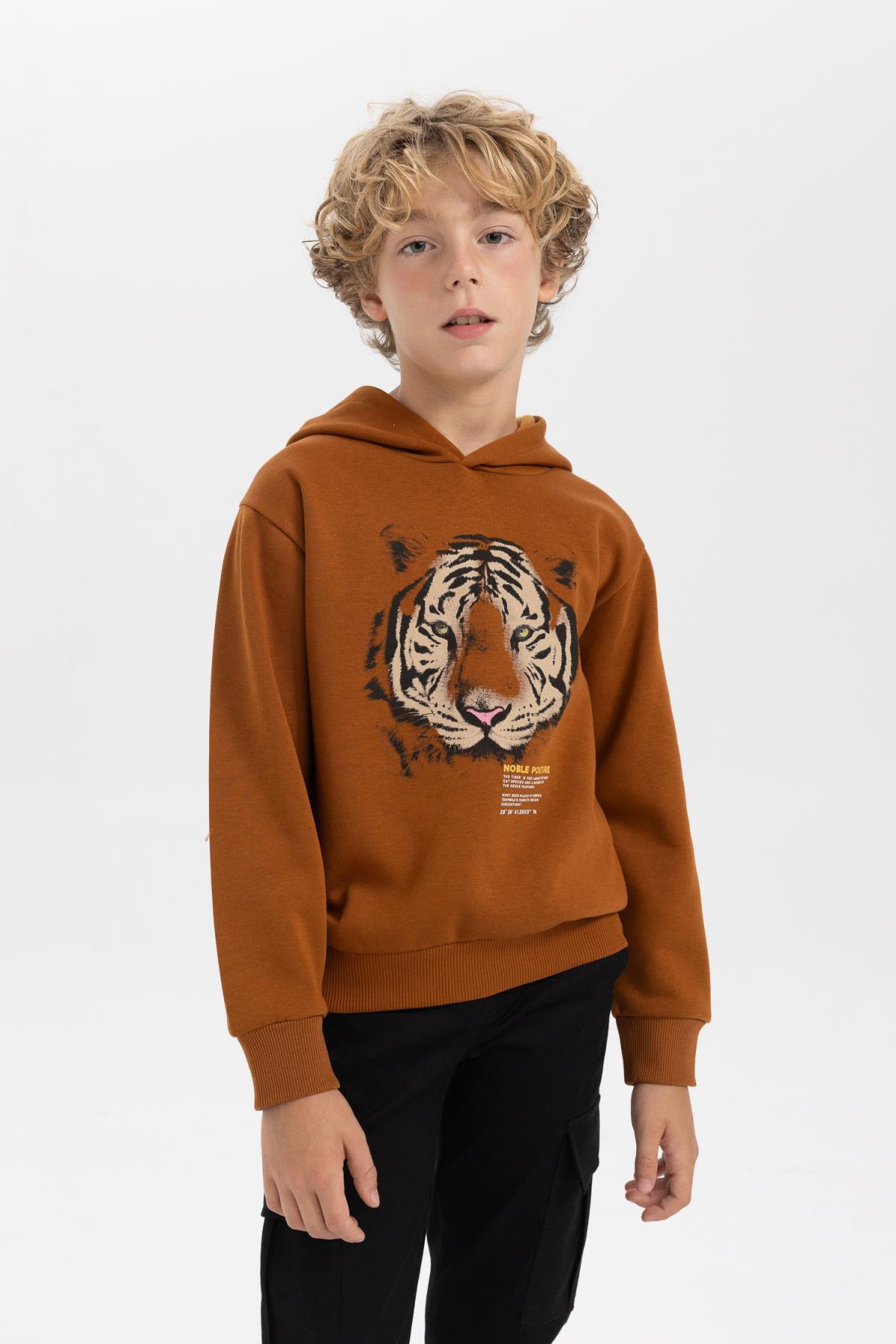 سویشرت پسرانه قهوه ای Defacto | B2077A823WN اورجینال - تصویر 3