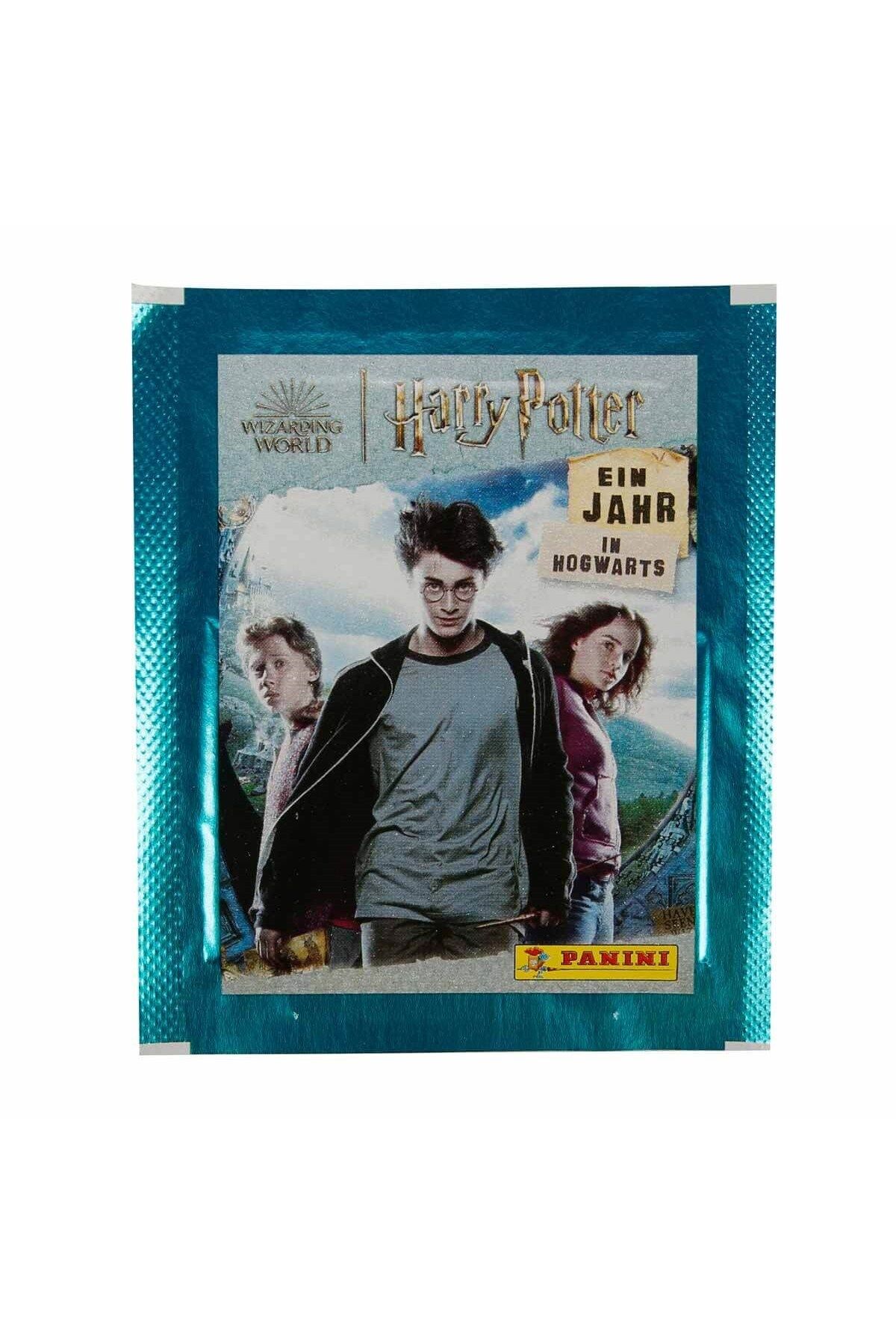 Harry Potter Hogwarts'ta Bir Yıl Çıkartma Paketi