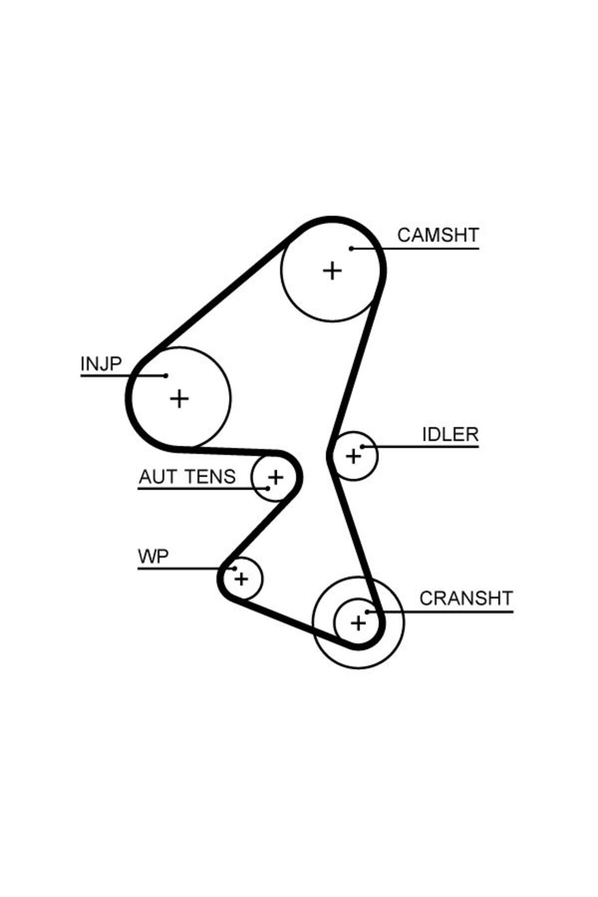 1.6 hdi timing belt change shop