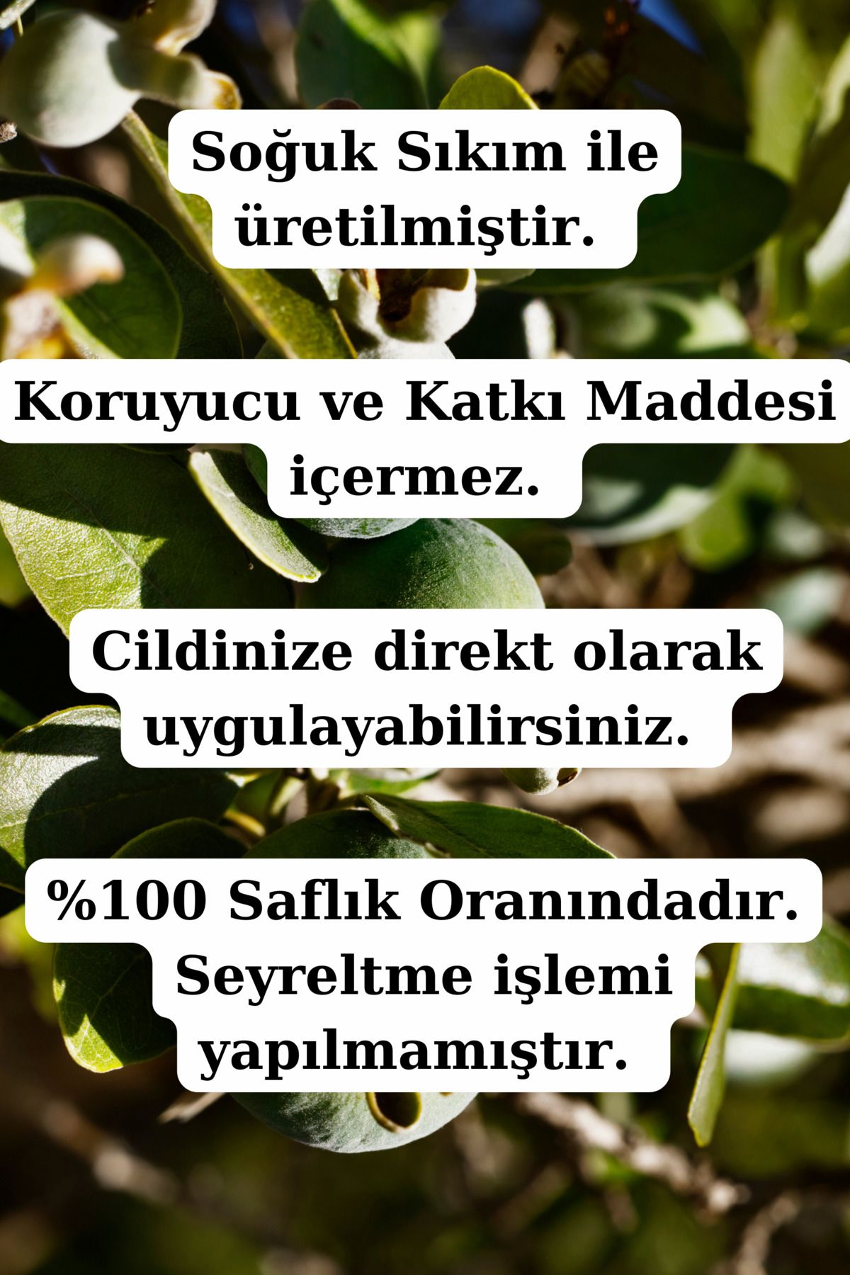 روغن جوجوبا 100٪ خالص رقیق نشده - (10 میلی لیتر 10 میلی لیتر) Antik Şifa