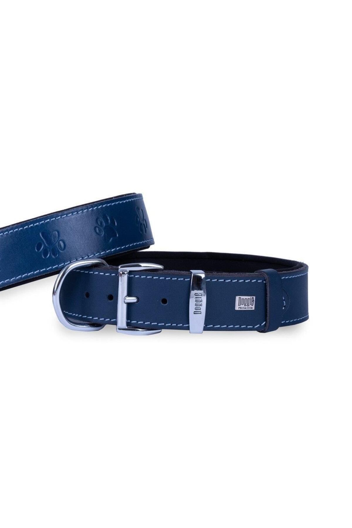 Dark blue dog collar clearance