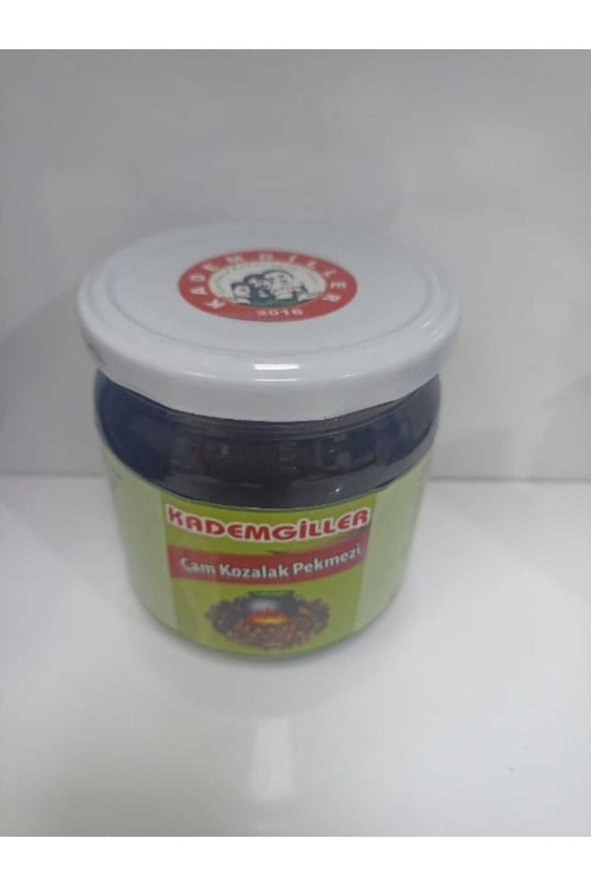 Hatun Kozalak Organik Pekmezi 500gr