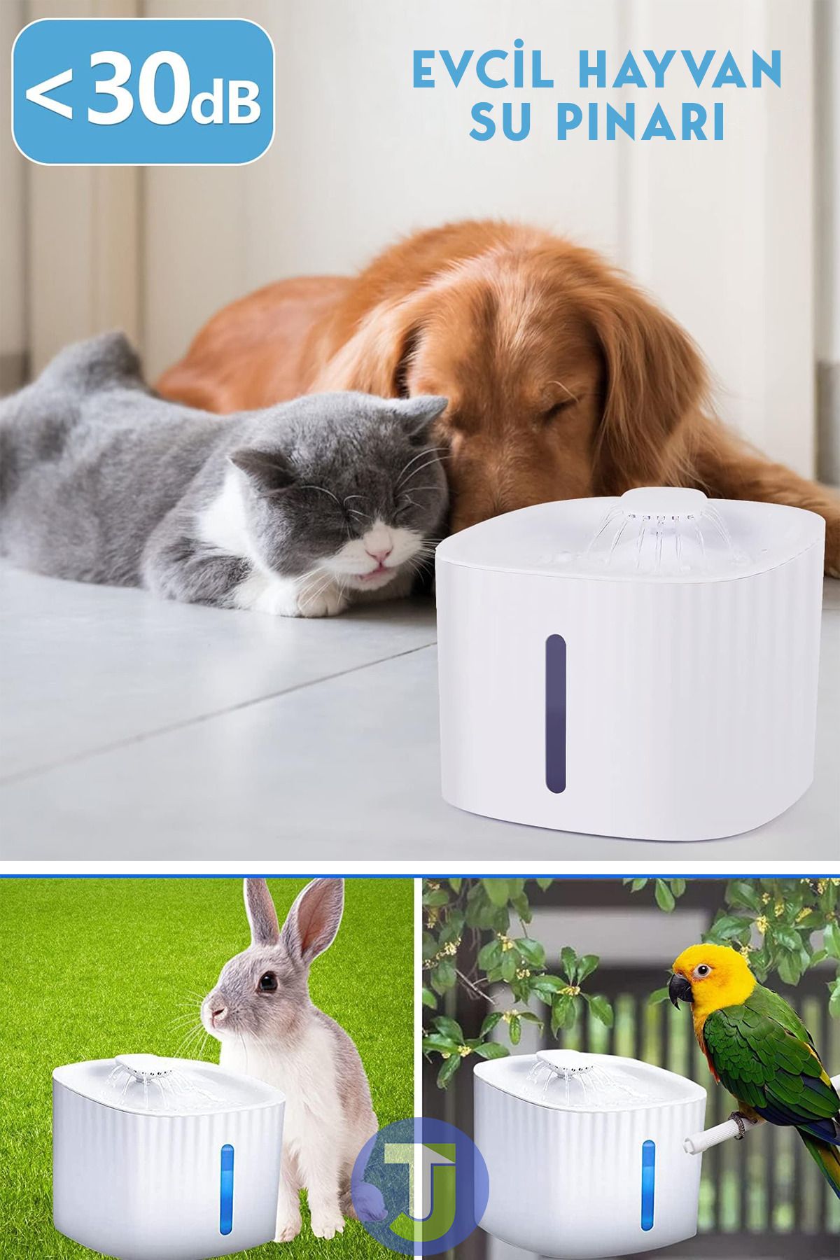 Pet bird deals fountain