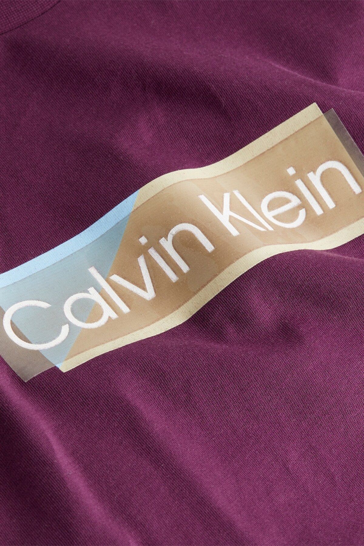 Calvin hot sale klein jasa