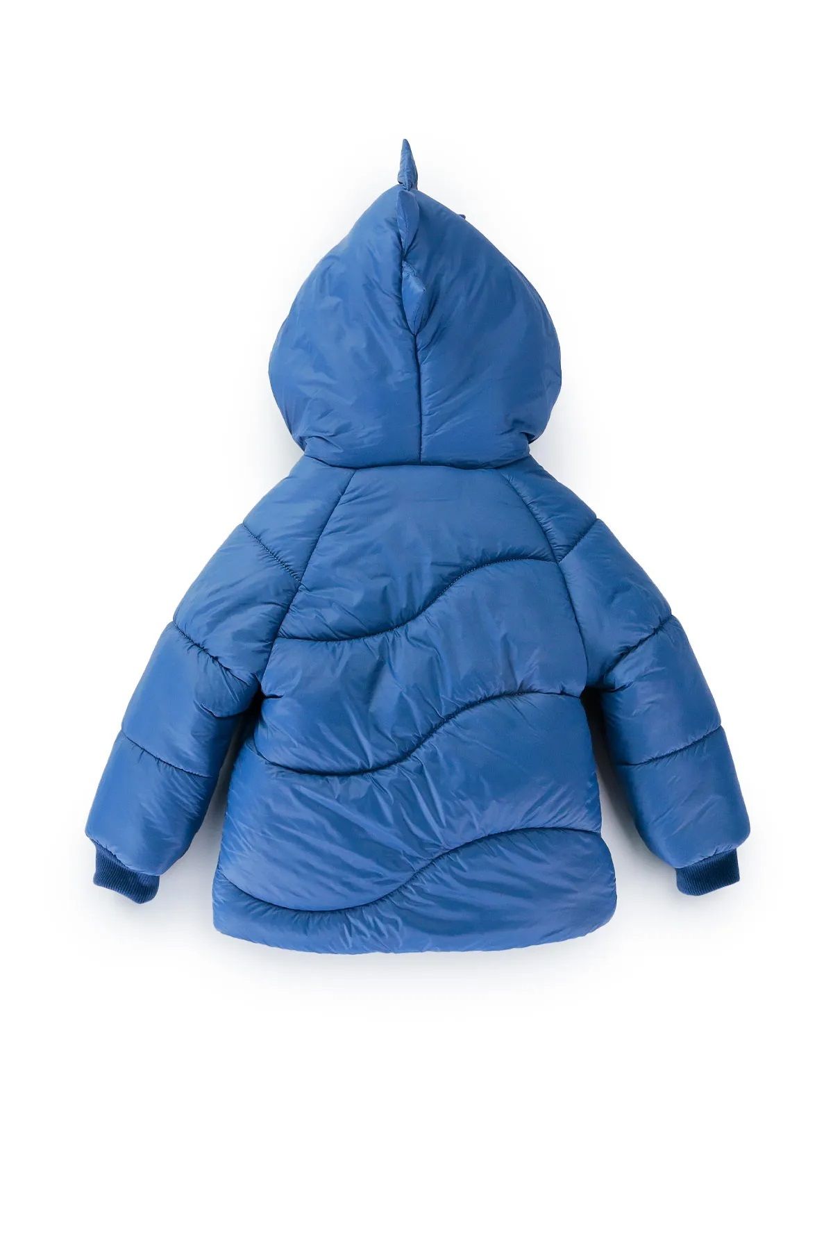 Baby best sale dinosaur coat