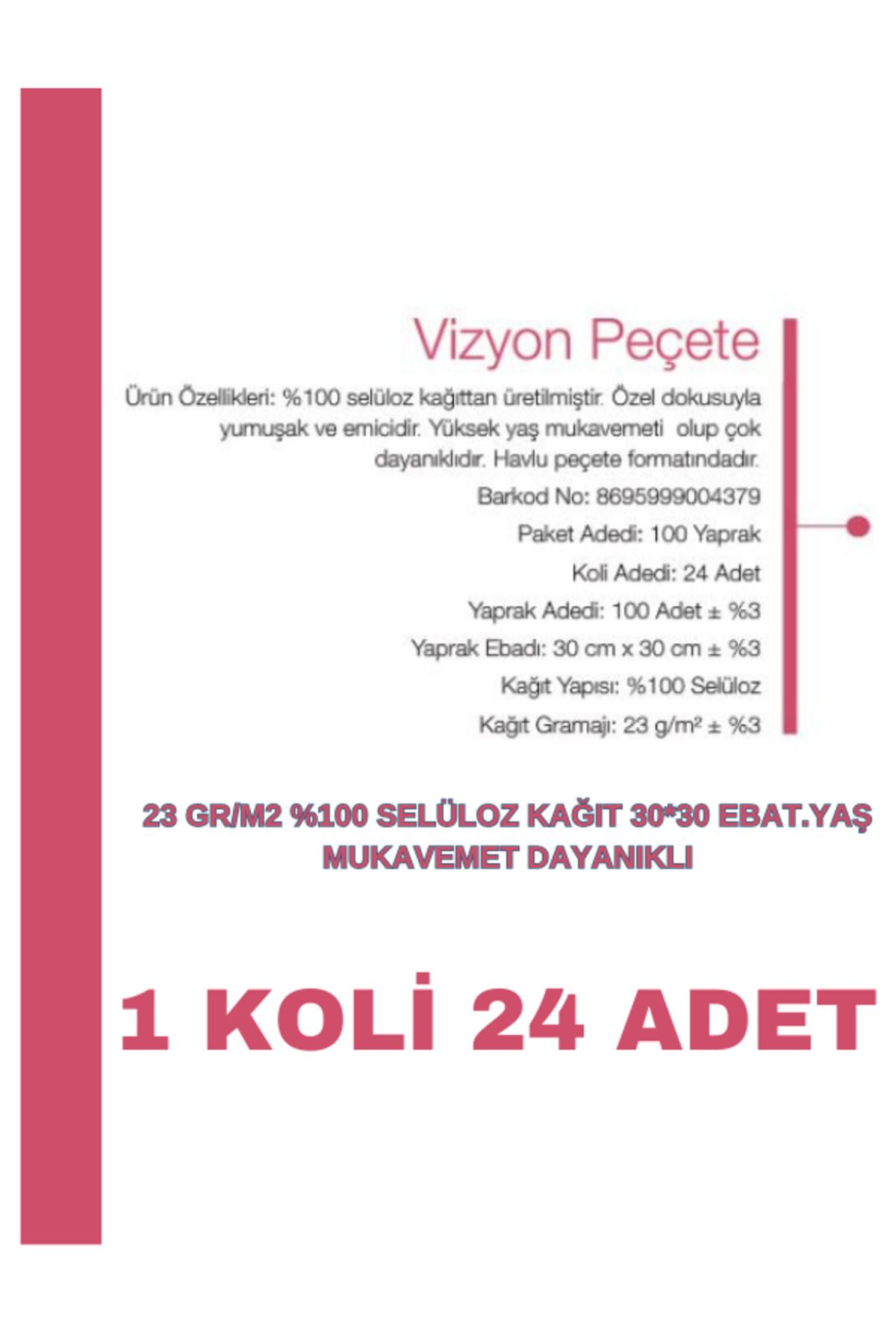 VİZYON-مناديل Vizyon الفاخرة 30 × 30 سم 100 قطعة × 24 عبوة 2