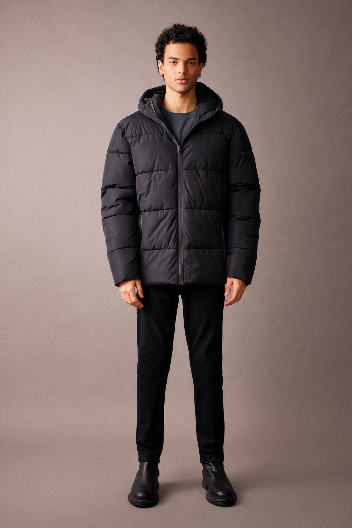 کاپشن مردانه دفاکتو | A2274AX23WN Defacto - Image 2