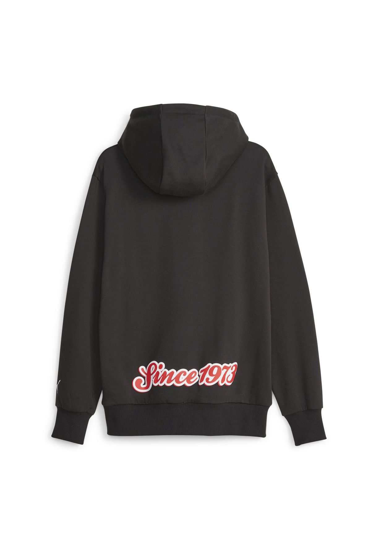 Champion sweater cheap insport