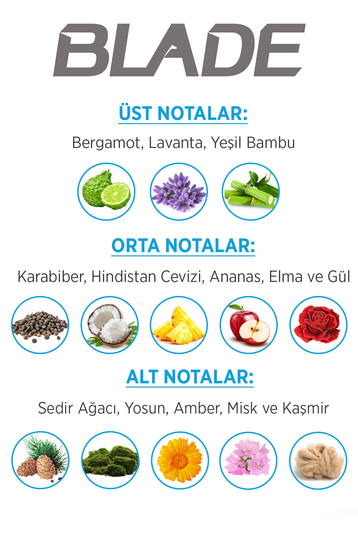 ادکلن مردانه سفید Blade | 8.69059E+12 اورجینال - تصویر 4