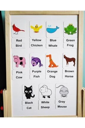 Manyetik Ingilizce Kelime Kartları Flashcards - Renkler Ve Hayvanlar / Colors And Animals ColAn61