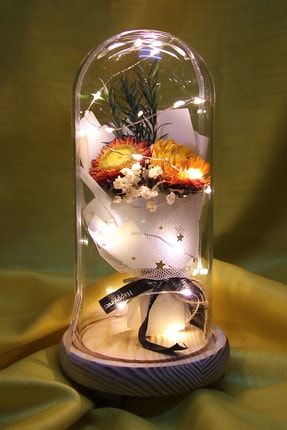 Dekoratif Cam Fanus Solmayan Çiçek Işıklı Sevgiliye Hediye MC-0934