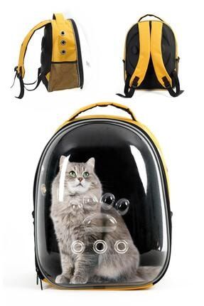 bedspet kedi cadiri mor fiyati yorumlari trendyol
