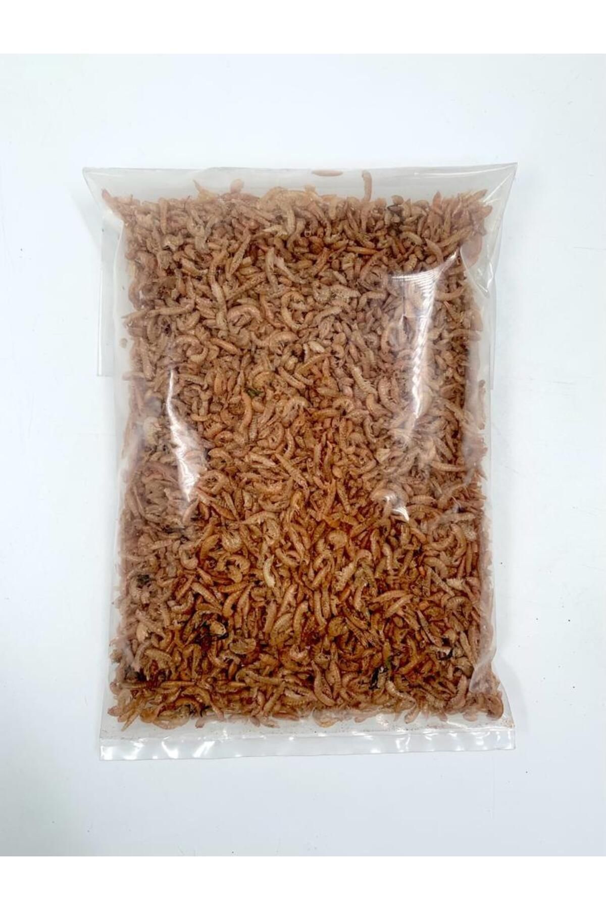 Ans 100gr Gammarus Kaplumbağa Yemi