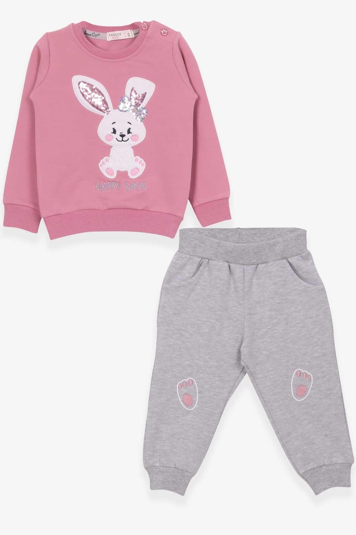 Breeze Girl s Tracksuit Set with Rabbit Embroidery Age 1 4 Dried