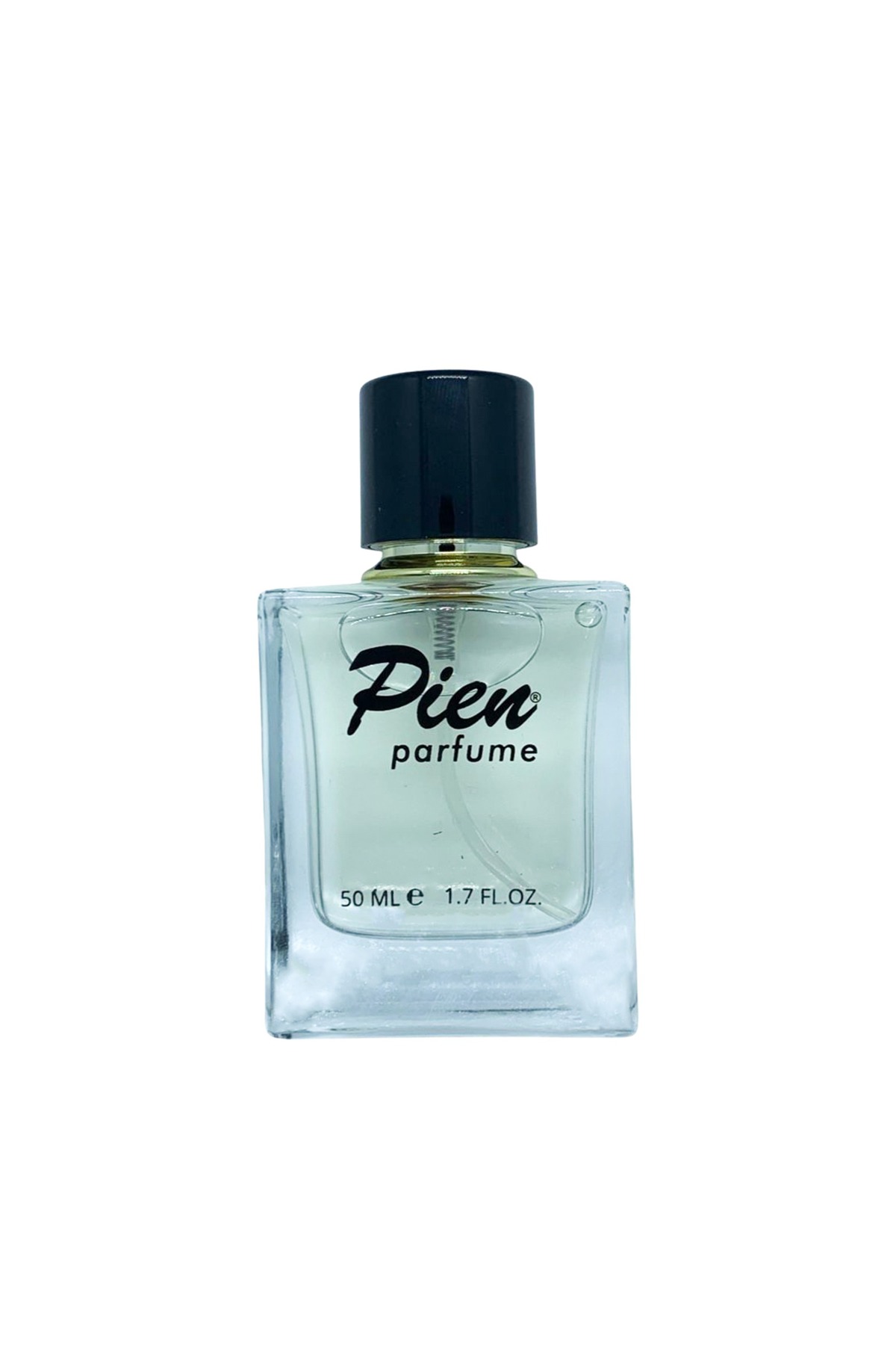 PIEN 111