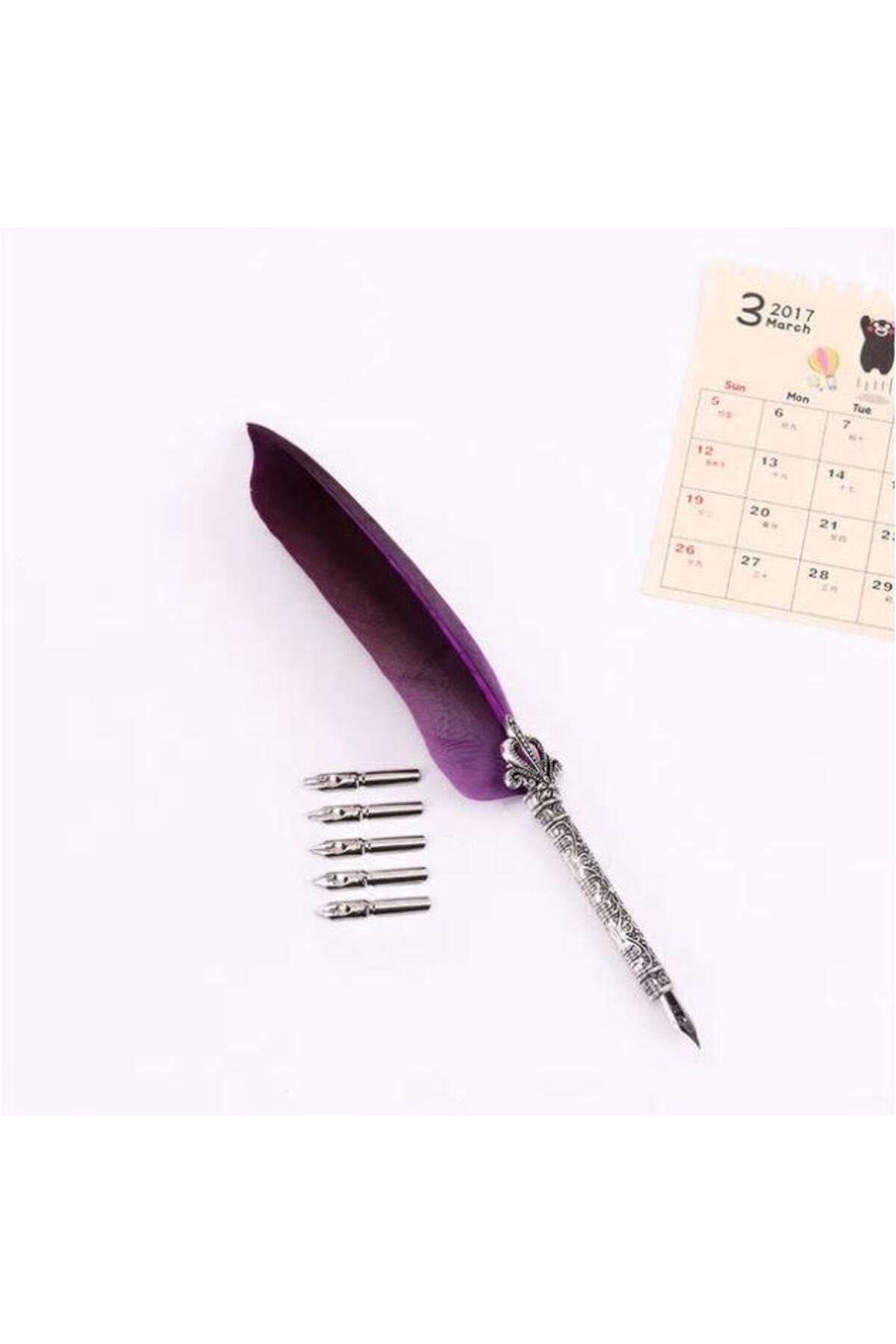 Magi Legend Antik Tüy Divit Kalem Sanatsal Yazma 6 Farklı Kalınlıkta Değişebilir Uç 1 Set Mor Renk