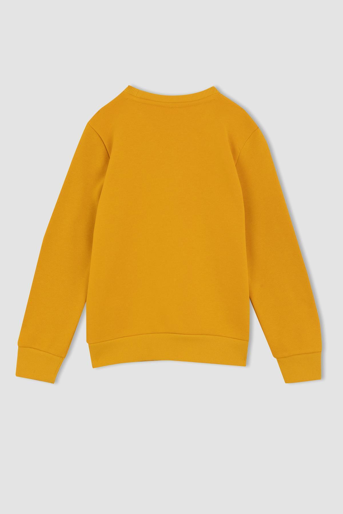 Defacto Erkek Çocuk Bisiklet Yaka Sweatshirt fotoğrafı 6 (önizleme)