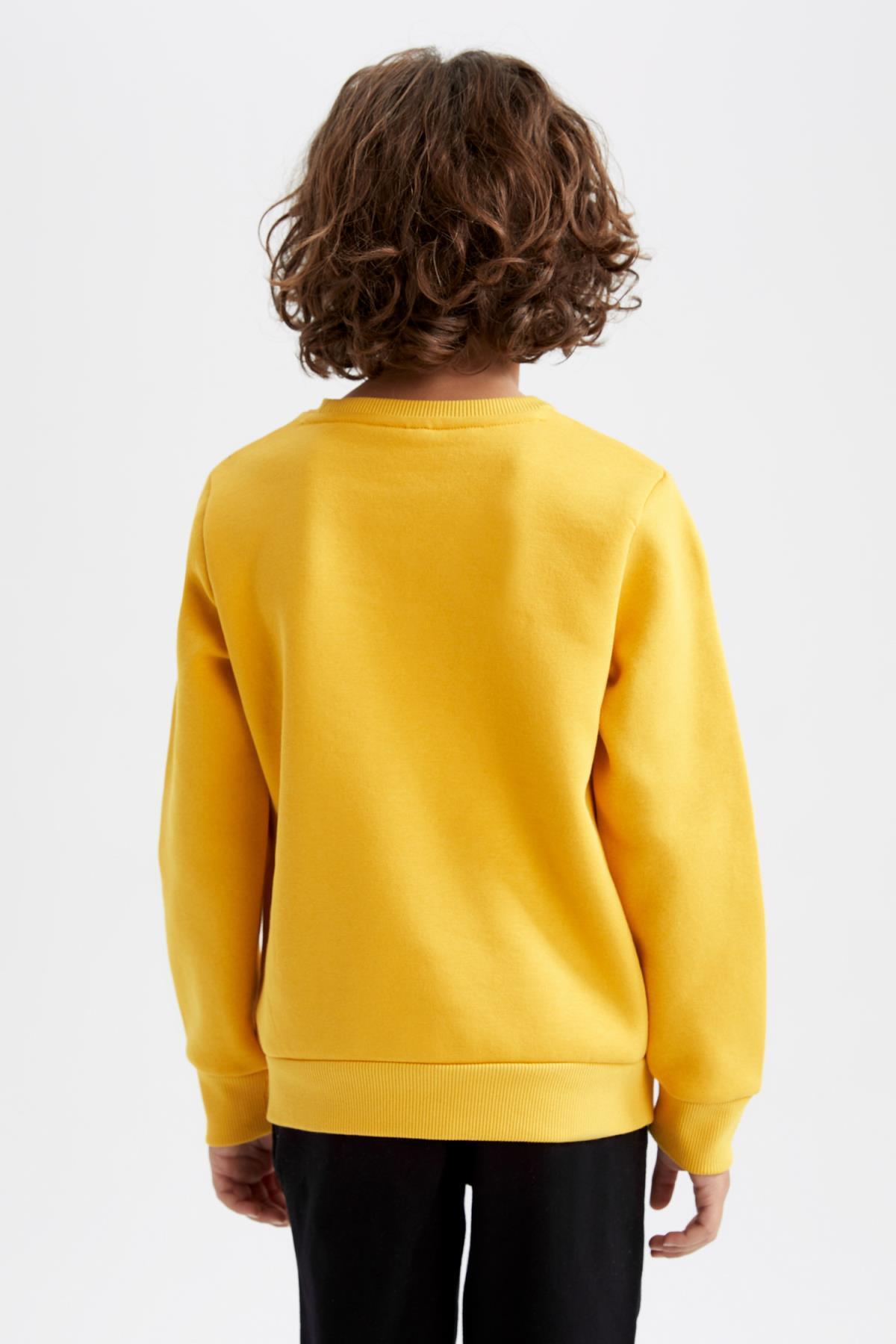 Defacto Erkek Çocuk Bisiklet Yaka Sweatshirt fotoğrafı 3 (önizleme)