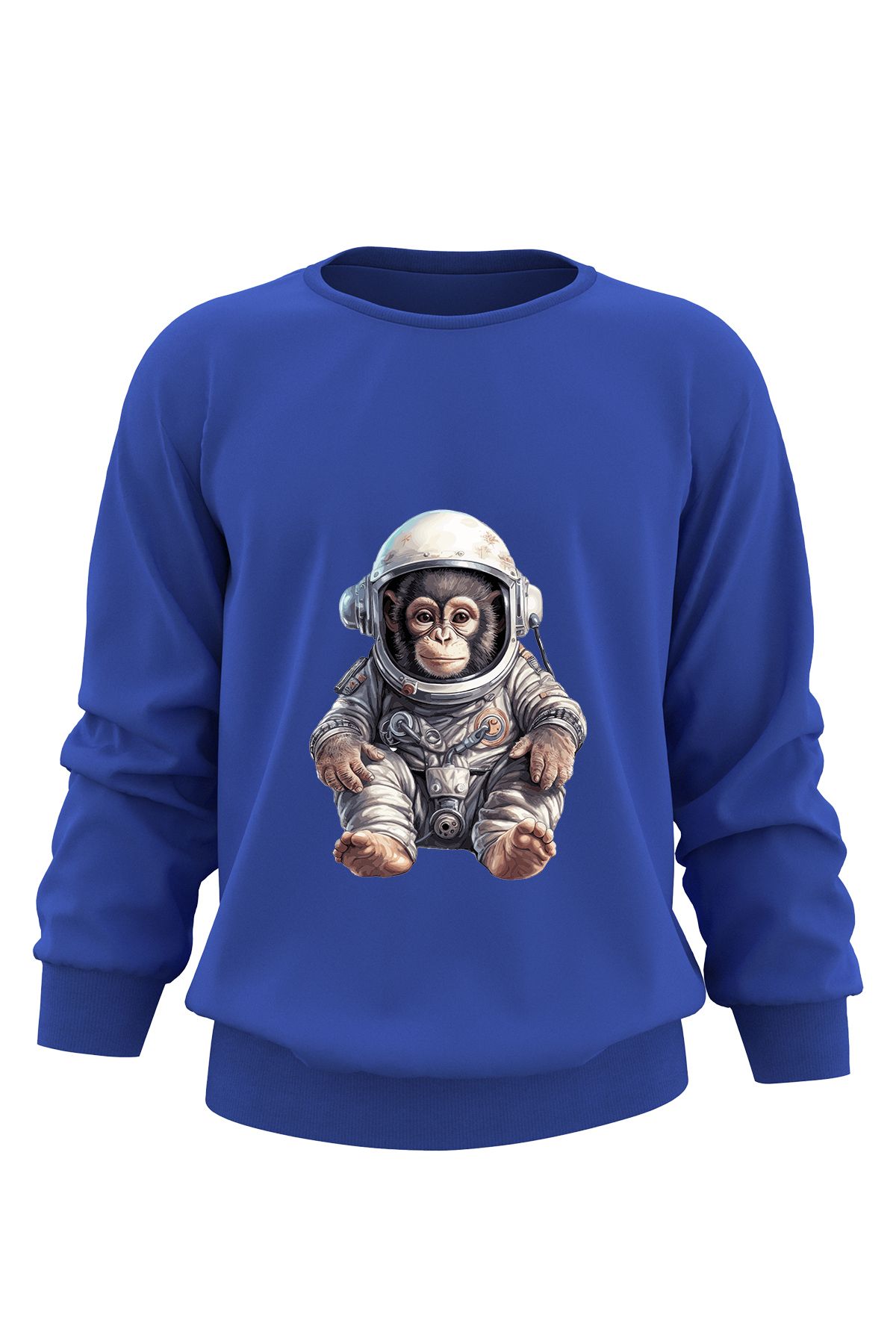 Astronaut sweatshirt 2025