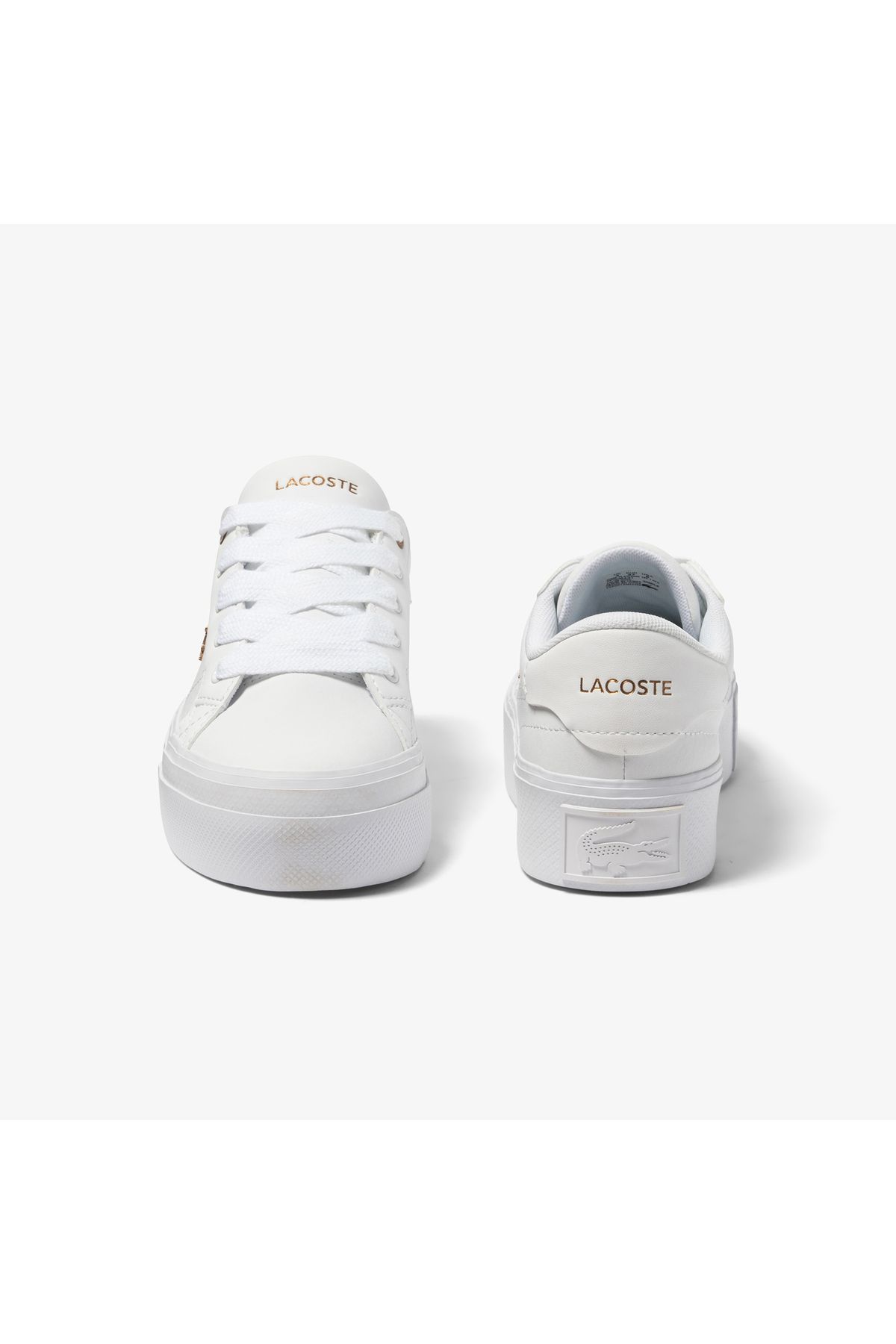 Lacoste Ziane
