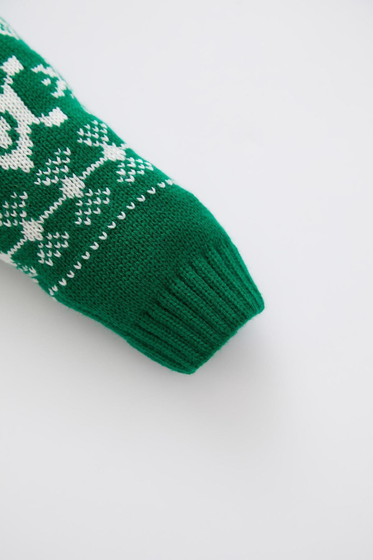 Defacto Erkek Bebek Bisiklet Yaka Hayvan Desenli Kazak fotoğrafı 4 (önizleme)