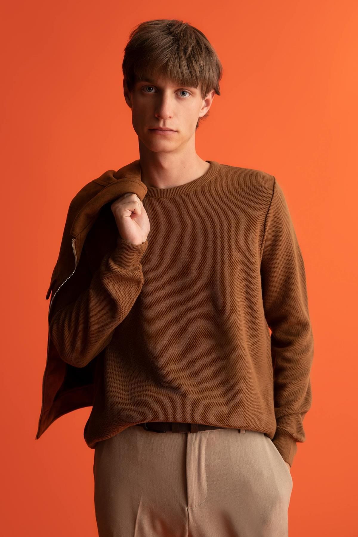 DeFacto-Slim Fit Crew Neck Knitwear Sweater 3