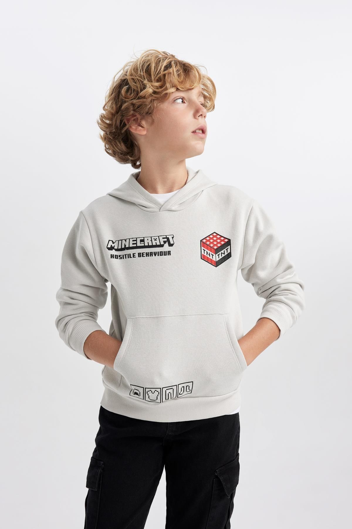 Minecraft clearance hooded sweatshirt