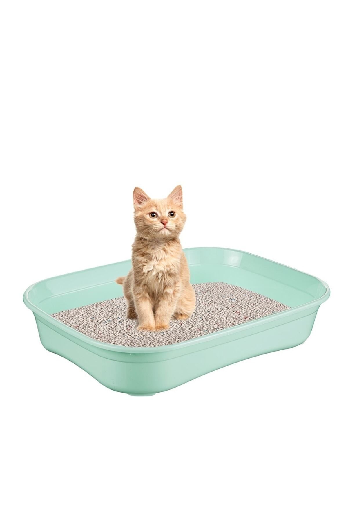 Yavru Kedi Açık Tuvalet Kabı Kürek Hediyeli Su Yeşili