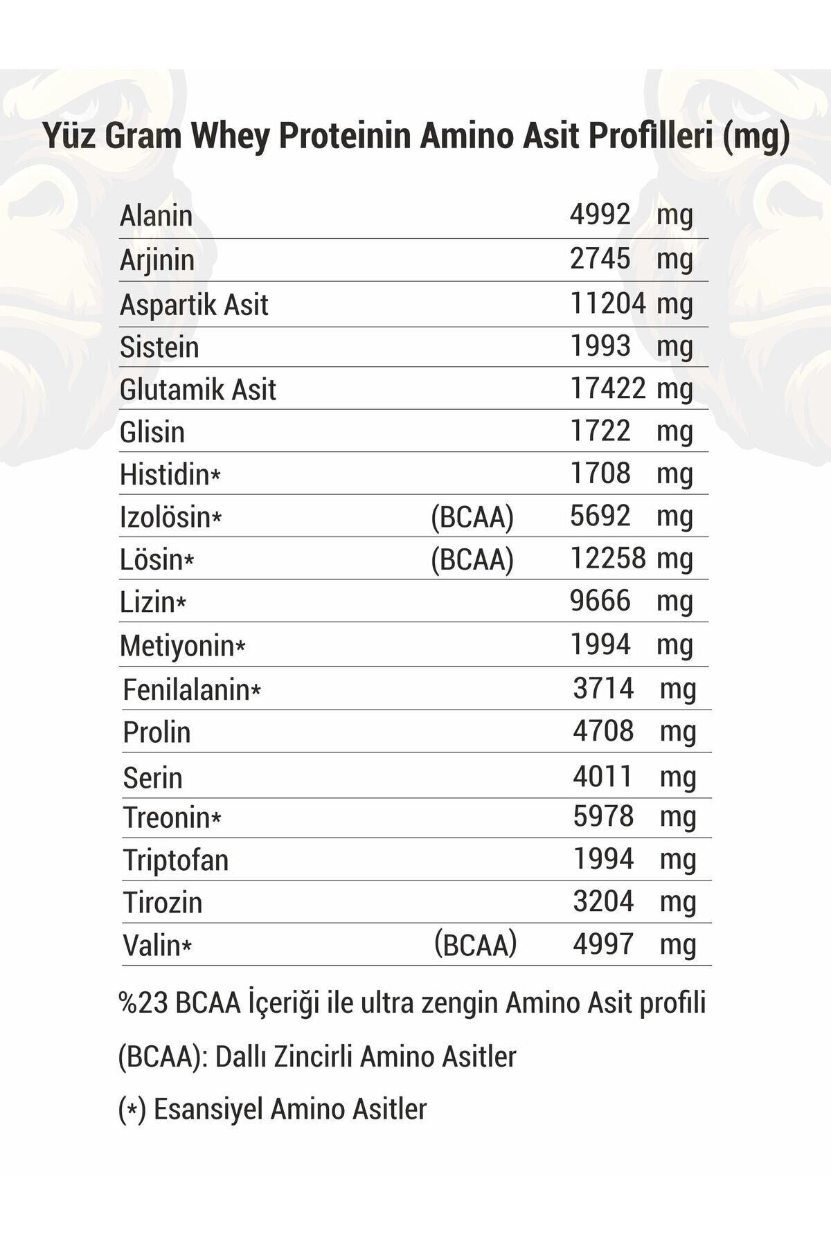 Performance Whey Protein (ÇİKOLATA AROMALI) 2013 G 4