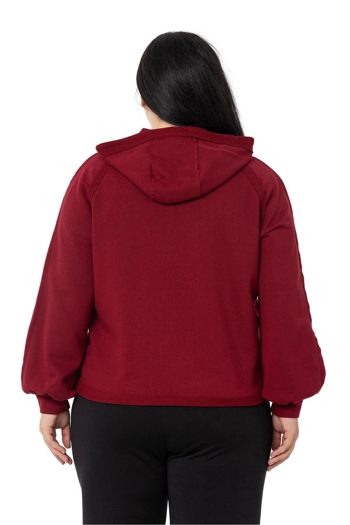 DISENTIS MODEST-Large Size Hooded Zippered Three Thread Claret Red Sweatshirt 3