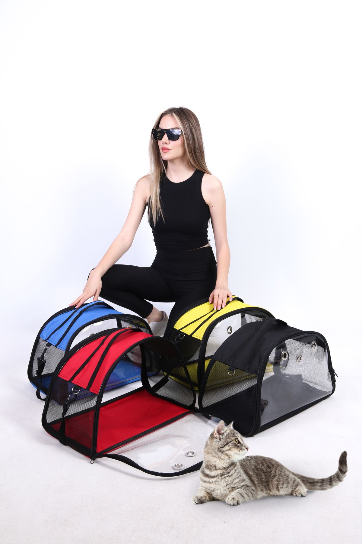 Pet carrier tote sale
