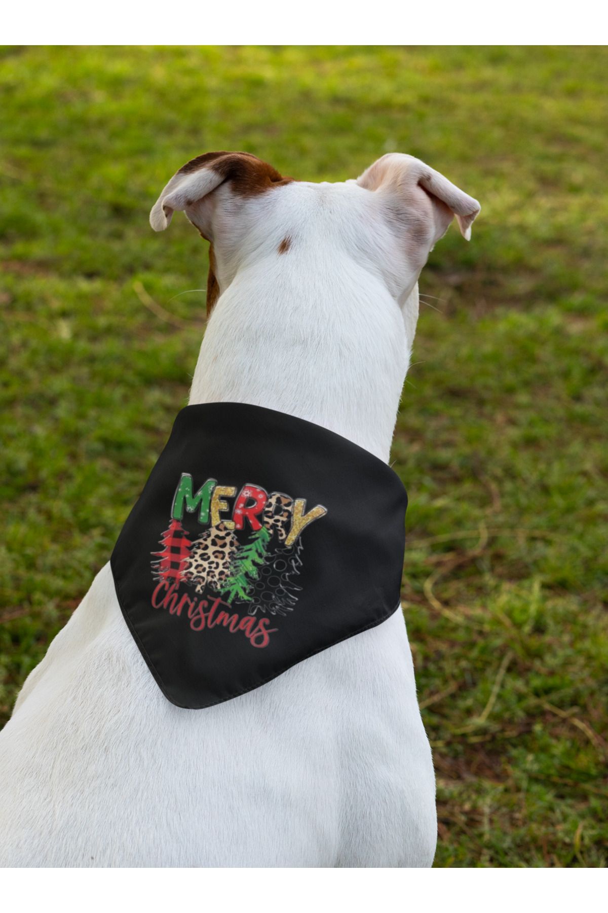 Pet dog hotsell clothes
