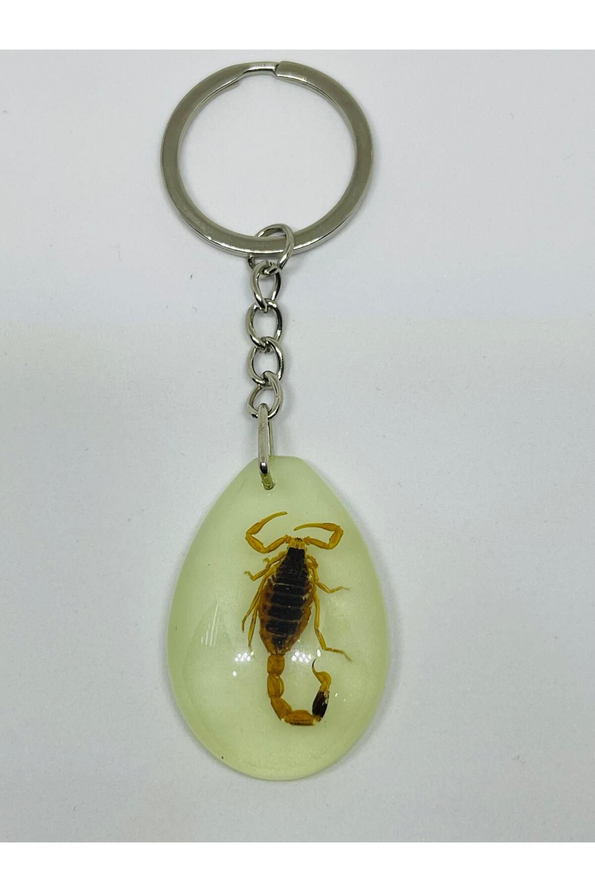 OSİPAR-Scorpion Fossil Phosphorescent Epoxy Keychain-1 1