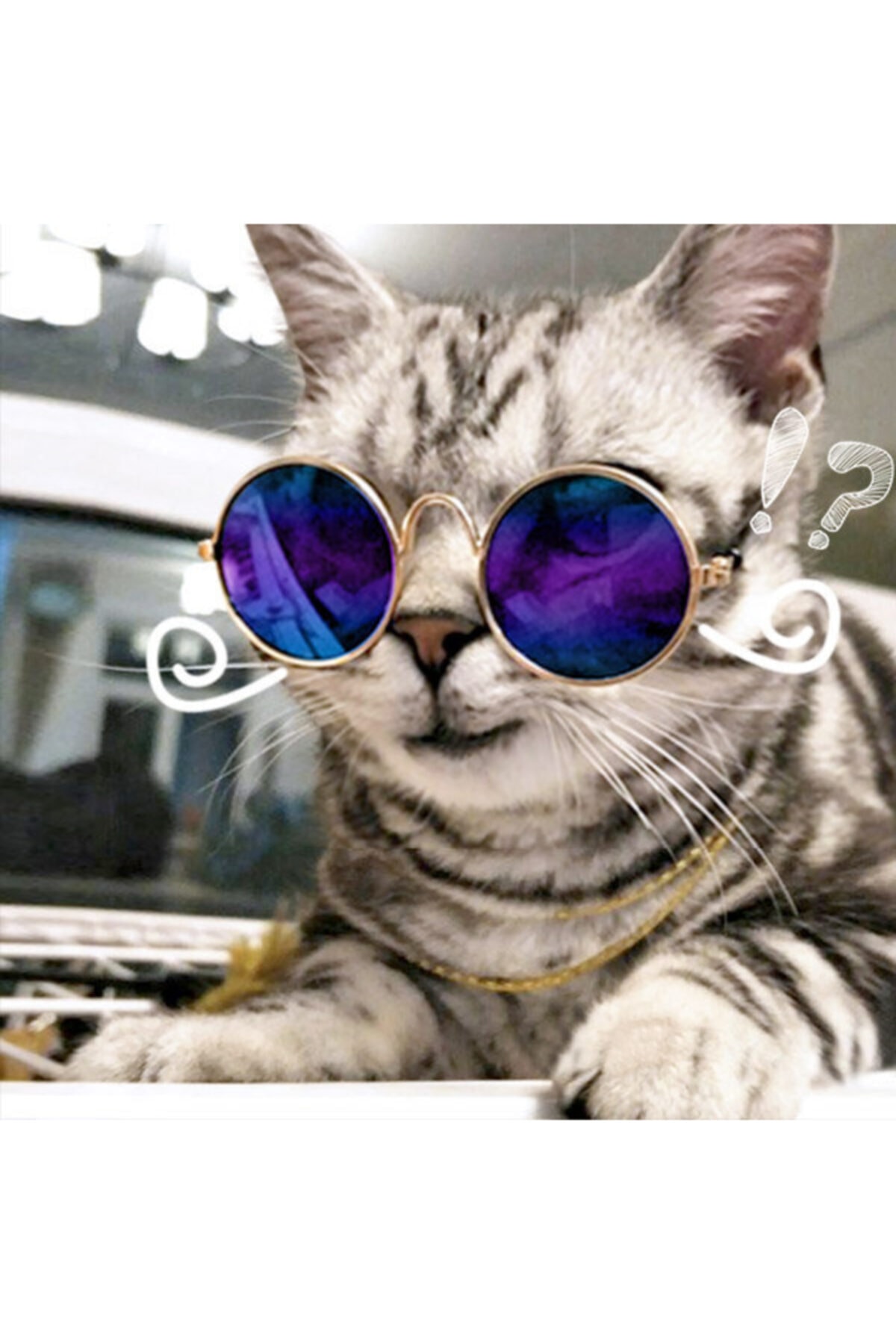 Kedi Köpek Gözlüğü Mini Irklara Özel Mavi 8 Cm