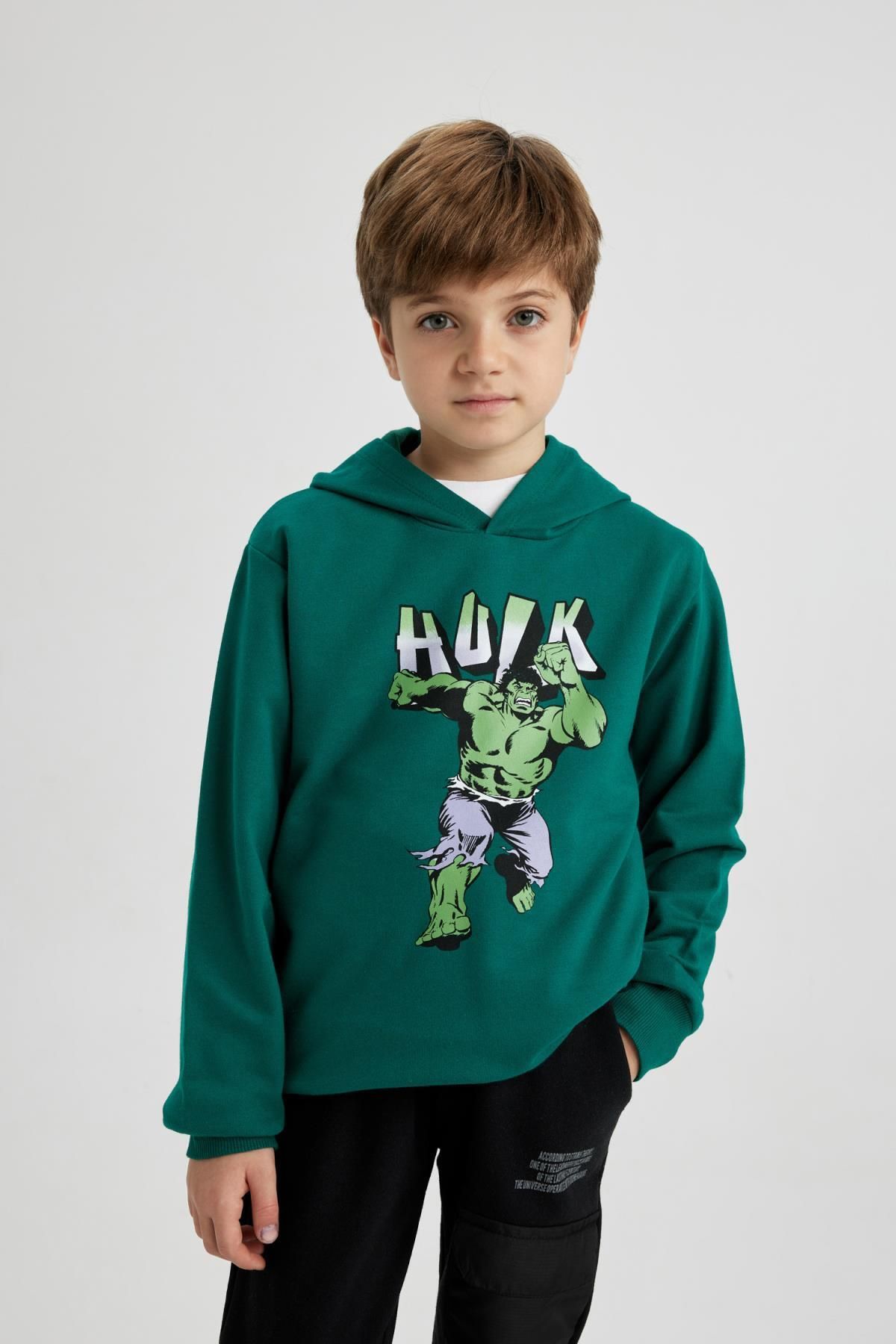 Hulk on sale hoodie boys