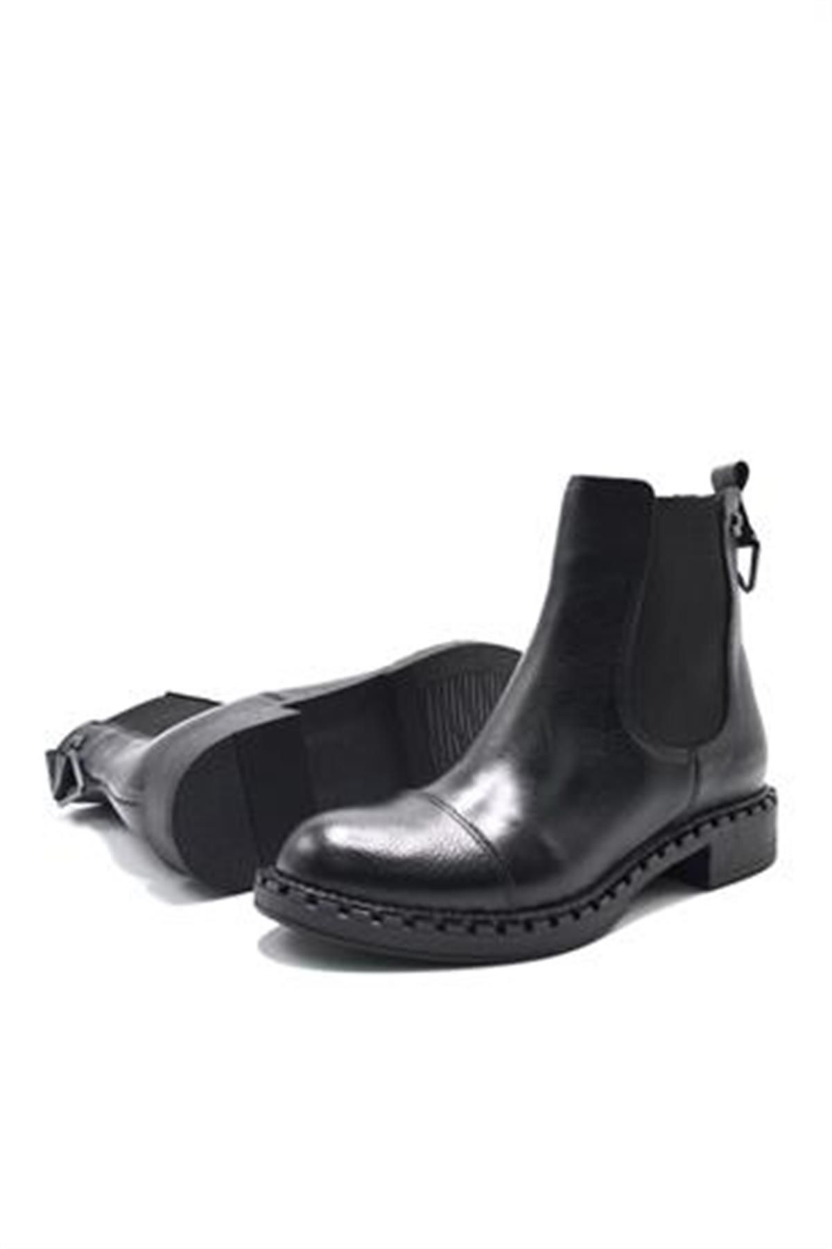 Ash wino studded deals leather chelsea boots