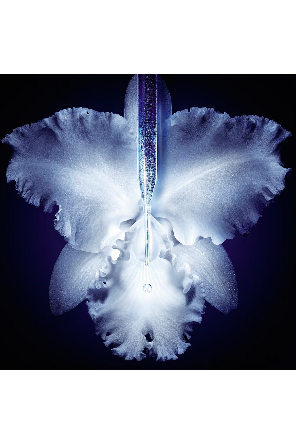 Guerlain سرم کنسانتره میکرو لیفت Orchidée Impériale سرم بازسازی کننده و ترمیم کننده با عصاره ارکیده 30 میل