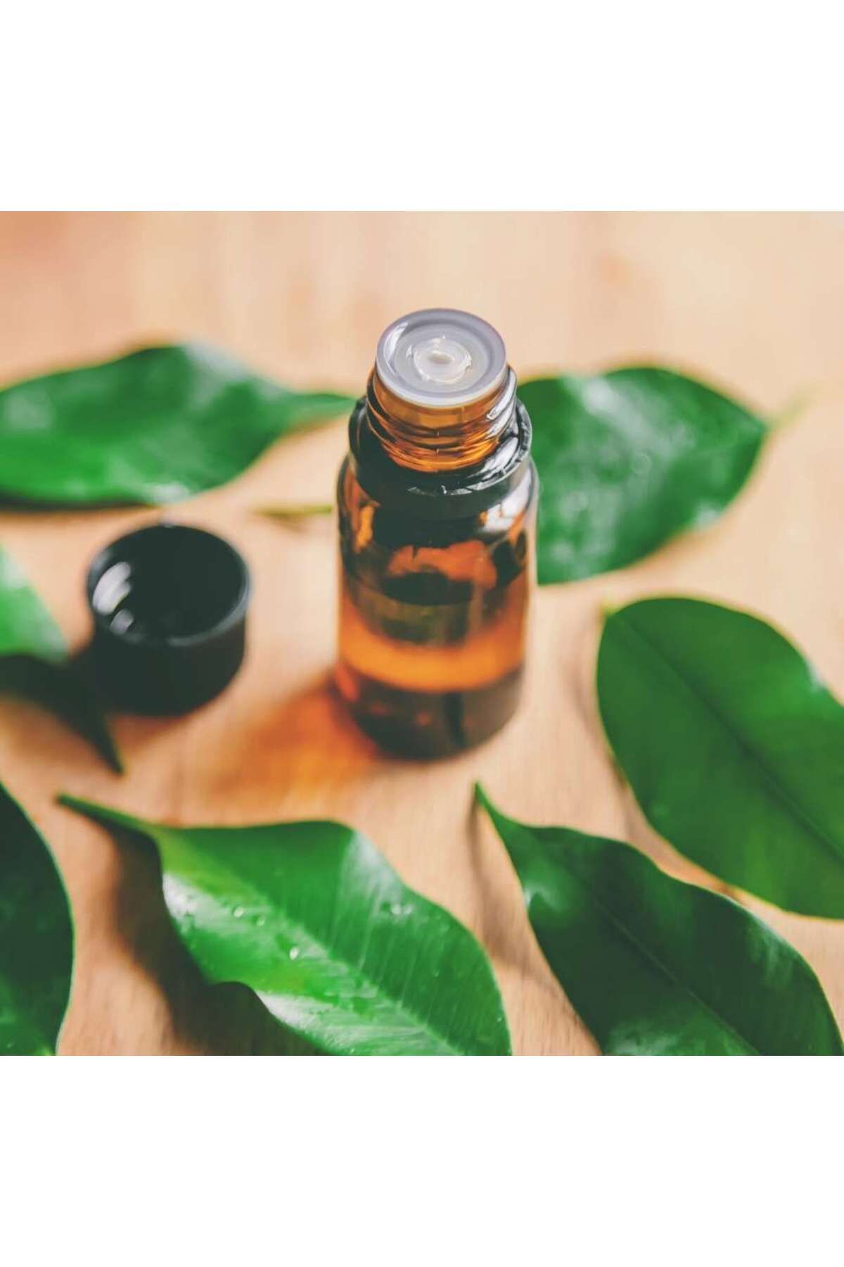 روغن درخت چای 10 میلی لیتر 100% خالص و طبیعی Art Detoks